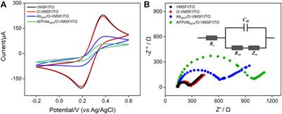 Dual-mode electrochemiluminescence and electrochemical sensor for alpha-fetoprotein detection in human serum based on vertically ordered mesoporous silica films